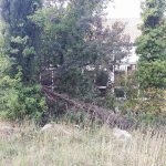 Nered oko Cavtatske Skole 6