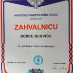 bukvic kinezioloski 1