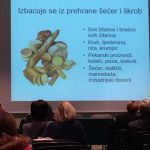 dusab tribina 20122017 17