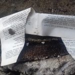 eko omblici knjige vandalizam 2