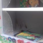 eko omblici knjige vandalizam 4