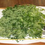 policija brevis droga 8
