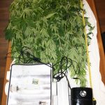 policija brevis droga 9