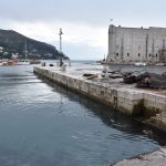 porat smece akcija 17122017 2