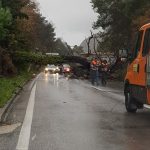 stablo misici magistrala