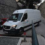 05022018 strvina les krava porat 1