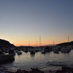 05022018 strvina les krava porat 10