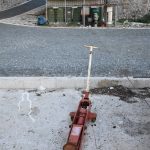 05022018 strvina les krava porat 11