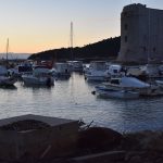 05022018 strvina les krava porat 4