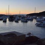 05022018 strvina les krava porat 6