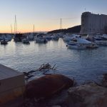 05022018 strvina les krava porat 8