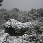Kartolina Korcula Snijeg 4