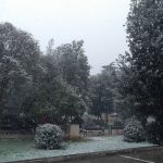 Korculanska snjezna kartolina 1