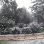 Korculanska snjezna kartolina 3