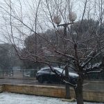 Korculanska snjezna kartolina 8