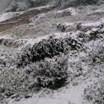 Korculanska snjezna kartolina 9