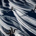 Macro Pero Poljanic Potomje 4