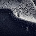 Macro Pero Poljanic Potomje 5