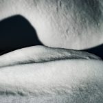 Macro Pero Poljanic Potomje 6