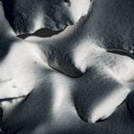 Macro Pero Poljanic Potomje 7