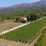 agroturizam konavle 2