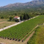 agroturizam konavle botero burdjelez 5