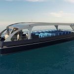 JAVITE SE S PRIJEDLOZIMA NP Mljet traži novo ime za svoju prinovu! 1 babyCat 1