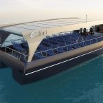 JAVITE SE S PRIJEDLOZIMA NP Mljet traži novo ime za svoju prinovu! 2 babyCat 1100x600 800x600 1