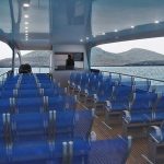 JAVITE SE S PRIJEDLOZIMA NP Mljet traži novo ime za svoju prinovu! 3 babyCat 2