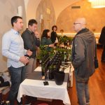 festa od vina02