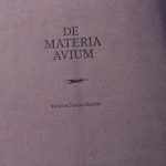 ivanisin kardum lazareti08