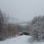 konavle 1