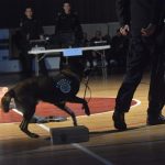 mup policija089