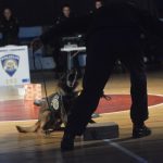 mup policija092