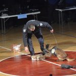 mup policija095
