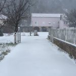 potomlje peljesac