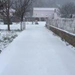 potomlje peljesac1