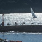 regata jedrenje vlaho17