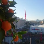 skopje tirana atena 21