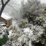 snijeg gornja vrucica peljesac 1