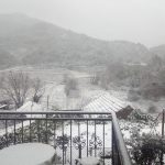 snijeg gornja vrucica peljesac 3