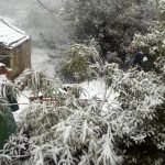 snijeg gornja vrucica peljesac 4