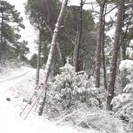 snijeg kuna peljeska 2018