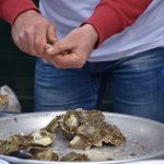 FOTOGALERIJA Tko je sve na Stradunu uživao u slasnim kamenicama? 4 24032018 festa od kamenica stradun 5