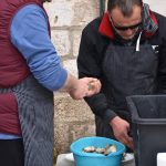 FOTOGALERIJA Tko je sve na Stradunu uživao u slasnim kamenicama? 7 24032018 festa od kamenica stradun 8