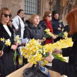 24032018 narcisi stradun 5