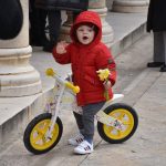 24032018 narcisi stradun 8