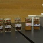 Ekonomisti Tvornice Cokolade 9