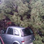 auto stablo 2