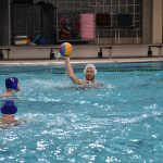 bellevue galeb 03032018 1